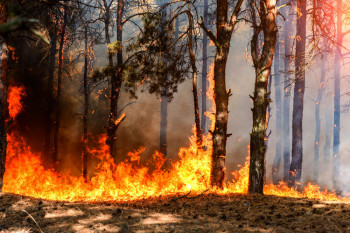 Najviše požara aktivno u Nevesinju