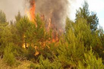 Активно 20 пожара, највише у Љубињу