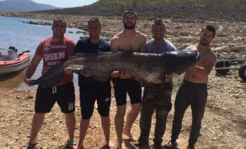 Bileća: Ulovio soma teškog 90 kilograma