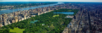 Central park – oaza prirode  u kojoj ponovo pjevaju ptice