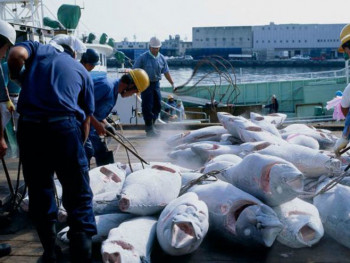 Са црногорског брода у Њемачкој заплијењено пола тоне кокаина