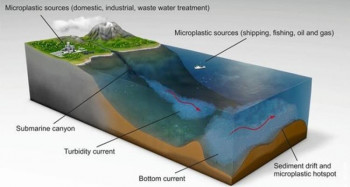 Ljudski nemar: Uspjeli smo da plastificiramo i dno okeana
