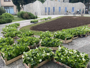 15.000 sadnica cvijeća za ljepše Trebinje