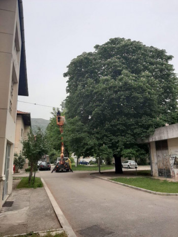 Trebinje: Počela hemijska zaštita platana i kestena na području grada (FOTO)