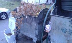 РУЖНЕ СЛИКЕ У ФОЧИ: После Божића бадњаци у контејнерима!