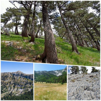 Подручје Орјена и Бијеле горе ускоро статус заштићеног подручја - парк природе.
