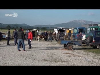 Сточна пијаца Гацко (ВИДЕО)