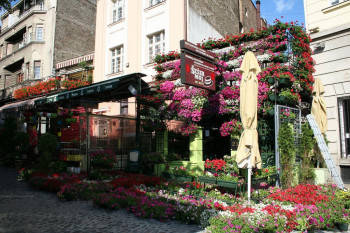 Skadarlija , simbol Beograda !