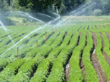 Бесплатно наводњавање за нове системе у Требињу и Љубињу 