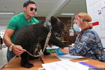 На гласачко мјесто дошао са медвједићем