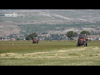 Gacko: Privodi se kraju kosidba, prinos ispod očekivanja (VIDEO)
