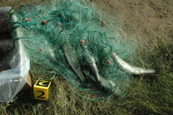 Nevesinjska policija rasvijetlila krivično djelo 'Nezakonit lov'