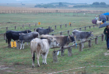 Земљорадничка задруга 'Гацко' - спона између Министарства и пољопривредних произвођача