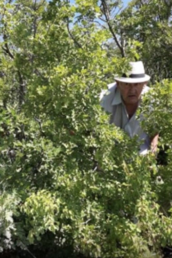 Gdje su glasači DPS- a iz Trebinja?