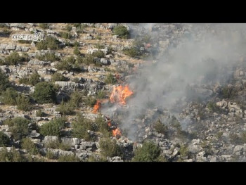Požar u naselju Zasad (VIDEO)