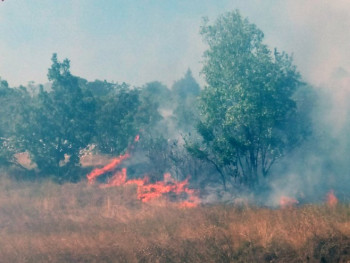 Билећа: Пожар у Коритима, куће одбрањене