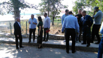 Почела подјела 100 стеоних јуница