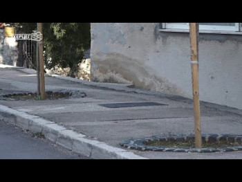 Trebinje: 80 novih sadnica za ljepši grad (Video)