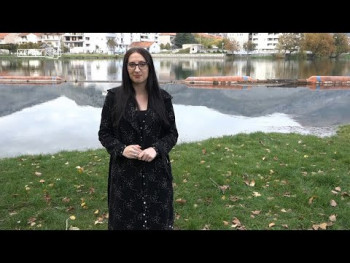 Hronika Trebinja (Video)