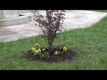 Trebinje: Rekordna godina po broju i kvalitetu uređenih zelenih površina