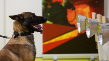Представљен први војни пас који може да намирише вирус