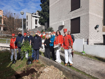 Počelo tradicionalno obilježavanje Praznika mimoze