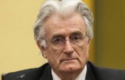 HAG: Uoči izricanja presude prvom predsjedniku Srpske Radovanu Karadžiću