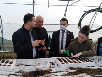 Agrarni fond: I ove godine besplatne sadnice za poljoprivrednike