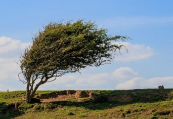 Žuti alarm zbog vjetra na području Foče i Trebinja