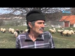 ЗЕМЉОМ ХЕРЦЕГОВОМ: Бежђеђе