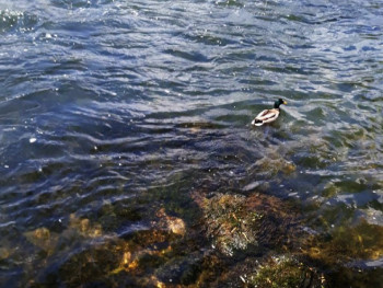 Kakvo nas vrijeme očekuje u julu i avgustu?