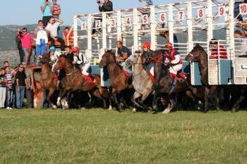 Невесињска олимпијада 2021: коњске трке – пријаве, наградни фонд и пропозиције