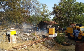 Пожар у пчелињаку, ватра захватила и кров куће