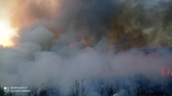 Застрашујуће сцене са пожаришта на путном правцу Требиње –Љубиње