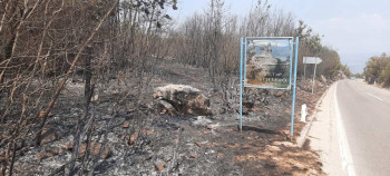 Катастрофални призори након пожара у Билећи ( Фото вијест)