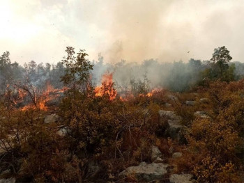 Билећа: Ватрогасци одбијају ватру од кућа