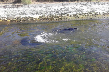 Ni traga nestalom Trebinjcu – Spasioci ne odustaju