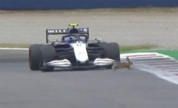 Zec izletio na stazu tokom vožnje Formule 1