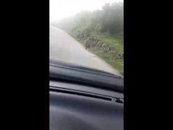 Divlja svinja trči ispred automobila na putu Nikšić-Gacko (VIDEO)
