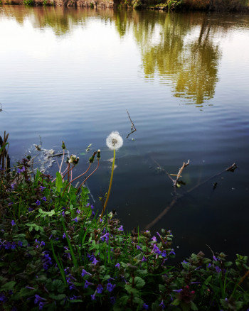 Počinju  Dani evropske baštine u Galeriji 73