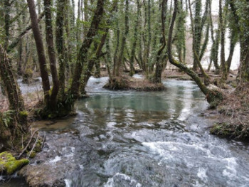 Босна и Херцеговина има чак 12 прашума