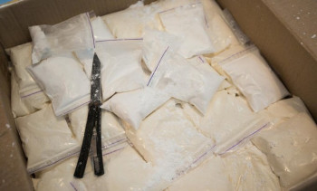 Razbijen balkanski narko kartel, uhapšena 61 osoba