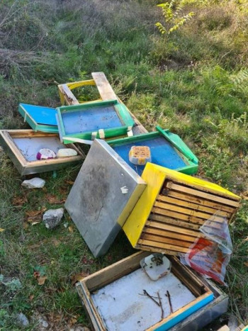 Bilećanin zatekao medvjeda u pčelinjaku