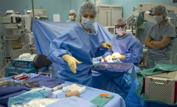 Успјешно извршена трансплантација бубрега из свиње у човјека