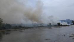 Гори некадашњи воћњак Агрокопа