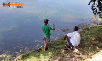 Забрана риболова на Требишњици, Сушици и Ластванском језеру