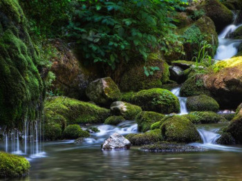 Форбс: Национални парк Тара - мјесто запањујуће љепоте на Балкану (ФОТО/ВИДЕО)