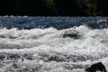 Повећан водостај свих ријека на подручју Фоче