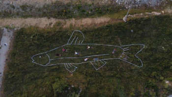 Iznimno rijetka riba – Gatačka gaovica sve rijeđa u poljima Istočne Hercegovine