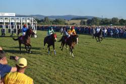 КОЊСКИМ ТРКАМА ЗАВРШЕНА 141. НЕВЕСИЊСКА ОЛИМПИЈАДА